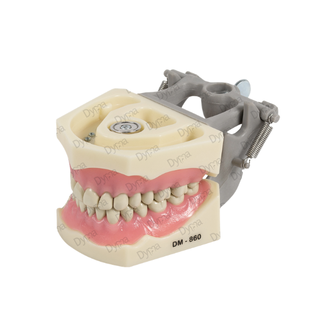 FANTOMA SIN IMAN ADULTO 860