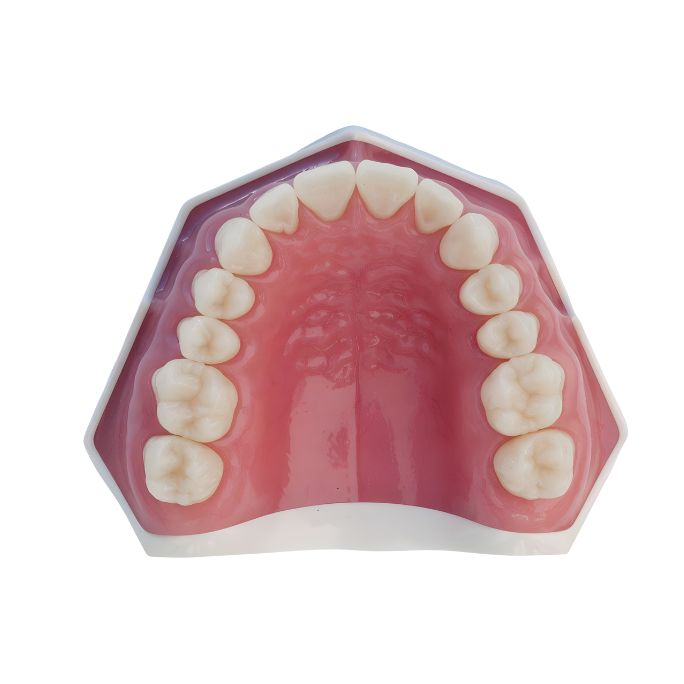 POC FLEX MODELO DE ARCADA SUPERIOR